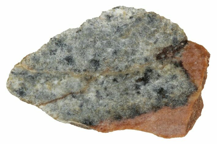 Lunar Meteorite ( g) Section - Bechar #348207